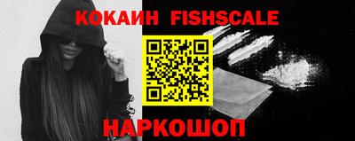 гидра Будённовск