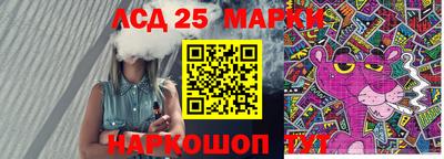 гидра Будённовск