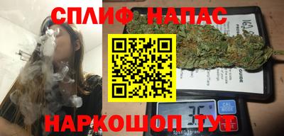 гидра Будённовск