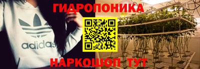 гидра Будённовск
