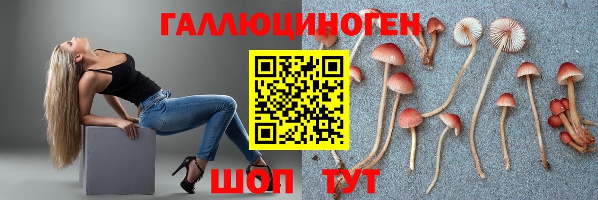 Галлюциногенные грибы Cubensis Озёры
